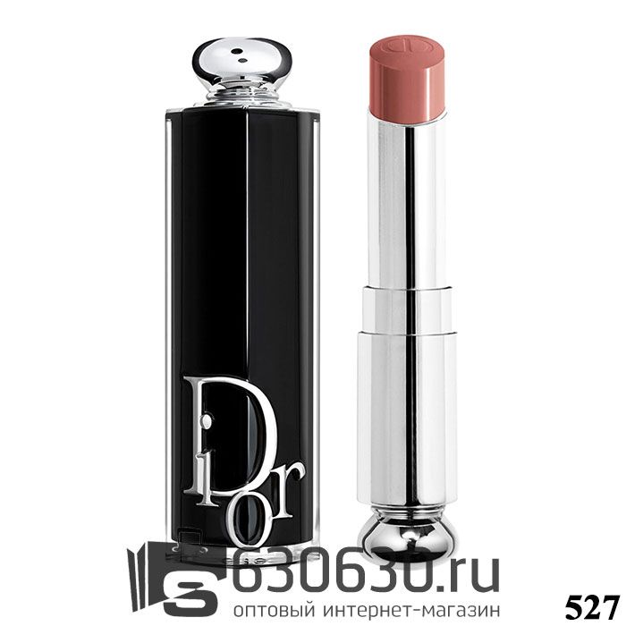 Глянцевая помада для губ Dior "Addict Refillable" 3,2g