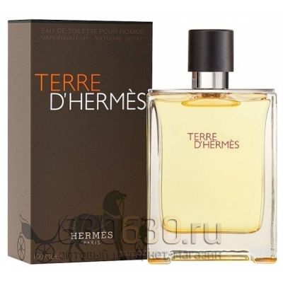 A-PLUS Hermes"Terre D`hermes Eau de Toilette"100 ml